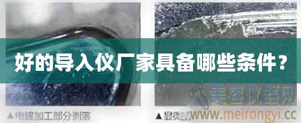 好的导入仪厂家具备哪些条件？
