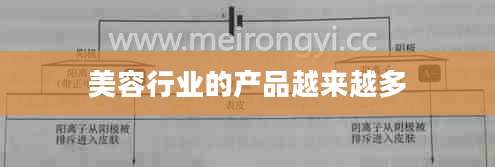 美容行业的产品越来越多