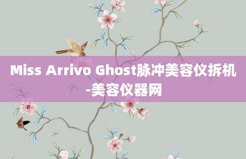 Miss Arrivo Ghost脉冲美容仪拆机-美容仪器网