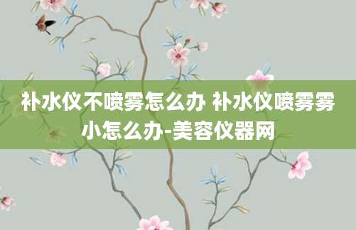 补水仪不喷雾怎么办 补水仪喷雾雾小怎么办-美容仪器网