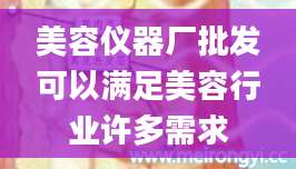 美容仪器厂批发可以满足美容行业许多需求