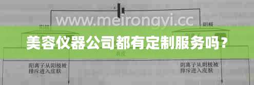 美容仪器公司都有定制服务吗？