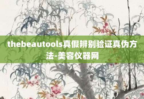 thebeautools真假辨别验证真伪方法-美容仪器网
