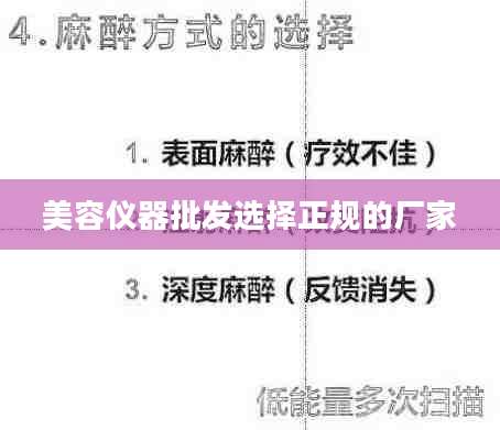 美容仪器批发选择正规的厂家