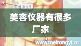 美容仪器有很多厂家