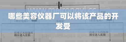 哪些美容仪器厂可以将该产品的开发受