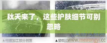 秋天来了，这些护肤细节可别忽略