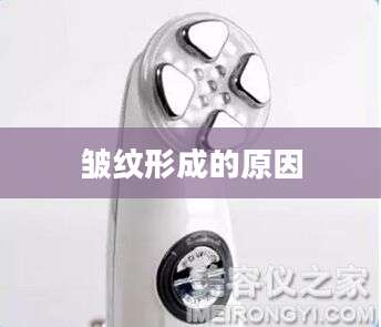 皱纹形成的原因