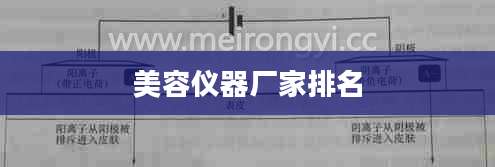美容仪器厂家排名