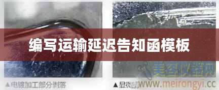 编写运输延迟告知函模板