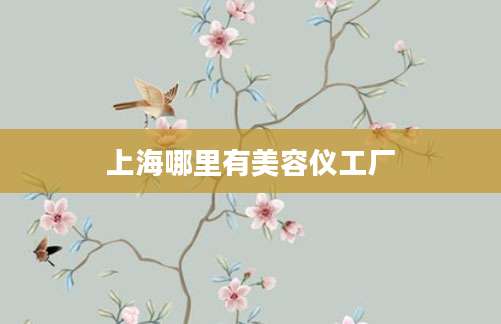 上海哪里有美容仪工厂