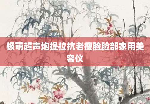 极萌超声炮提拉抗老瘦脸脸部家用美容仪