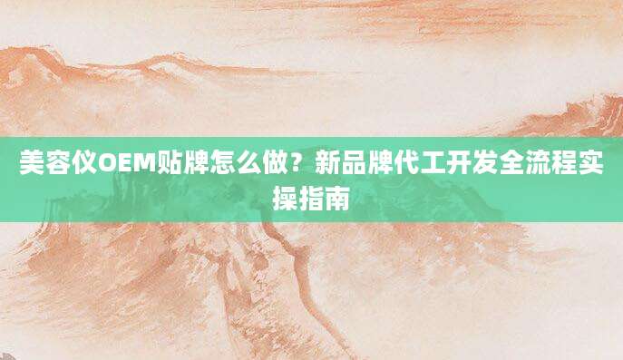 美容仪OEM贴牌怎么做？新品牌代工开发全流程实操指南