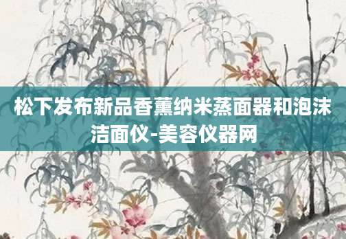 松下发布新品香薰纳米蒸面器和泡沫洁面仪-美容仪器网