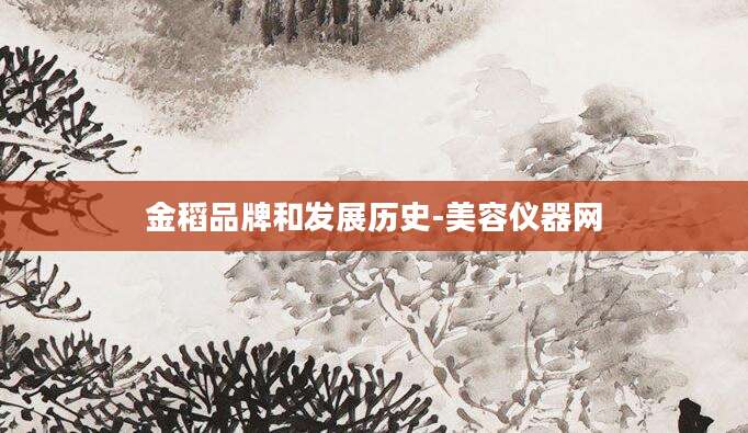 金稻品牌和发展历史-美容仪器网