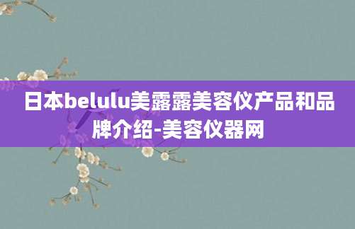 日本belulu美露露美容仪产品和品牌介绍-美容仪器网