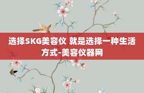选择SKG美容仪 就是选择一种生活方式-美容仪器网