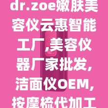 dr.zoe嫩肤美容仪云惠智能工厂,美容仪器厂家批发,洁面仪OEM,按摩梳代加工