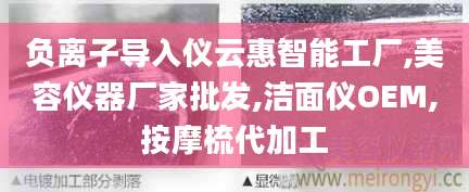 负离子导入仪云惠智能工厂,美容仪器厂家批发,洁面仪OEM,按摩梳代加工