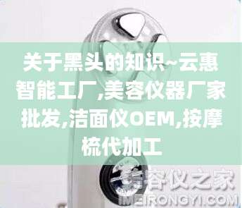 关于黑头的知识~云惠智能工厂,美容仪器厂家批发,洁面仪OEM,按摩梳代加工