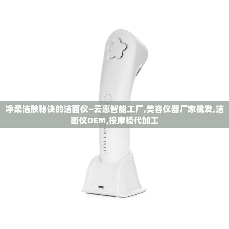 净柔洁肤秘诀的洁面仪~云惠智能工厂,美容仪器厂家批发,洁面仪OEM,按摩梳代加工