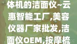 清洁按摩瘦脸一体机的洁面仪~云惠智能工厂,美容仪器厂家批发,洁面仪OEM,按摩梳代加工
