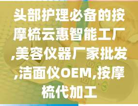 头部护理必备的按摩梳云惠智能工厂,美容仪器厂家批发,洁面仪OEM,按摩梳代加工