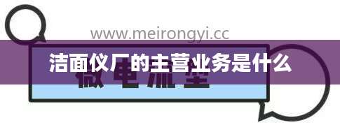 洁面仪厂的主营业务是什么