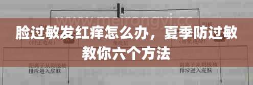 脸过敏发红痒怎么办,夏季防过敏教你六个方法