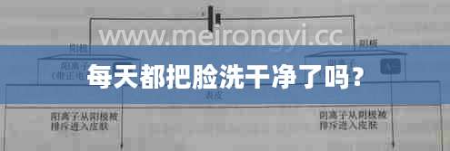 每天都把脸洗干净了吗?