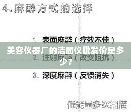美容仪器厂的洁面仪批发价是多少?