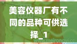 美容仪器厂有不同的品种可供选择_1