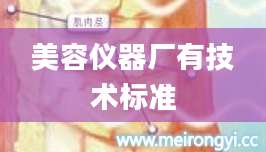 美容仪器厂有技术标准