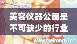 美容仪器公司是不可缺少的行业