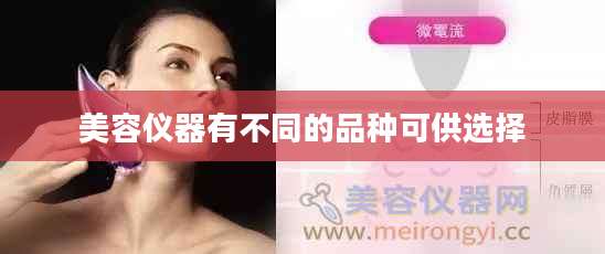 美容仪器有不同的品种可供选择