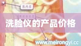 洗脸仪的产品价格