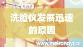 洗脸仪发展迅速的原因