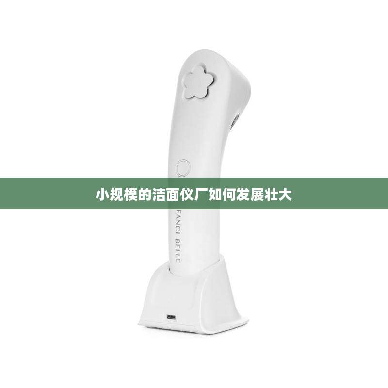 小规模的洁面仪厂如何发展壮大